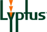 Lyptus